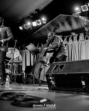 TLI Jazz Lenox