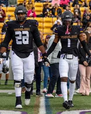 Ualbany Great Danes Football Albany