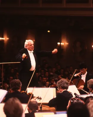 Bernstein Lenox