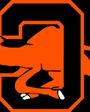Campbell Fighting Camels Albany