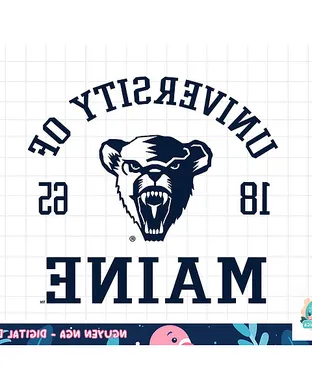 Maine Black Bears Albany