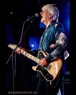Robyn Hitchcock Woodstock