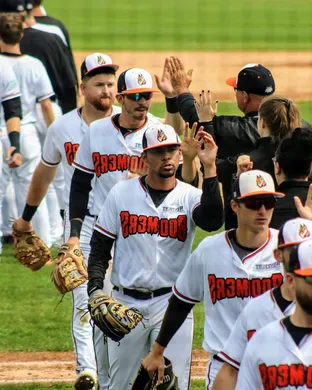 Schaumburg Boomers Troy