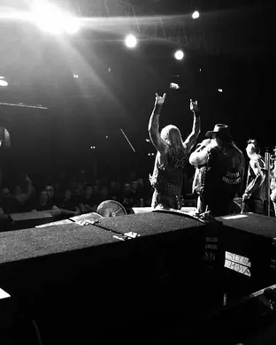 Texas Hippie Coalition Albany