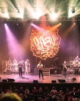 Ub40 Albany