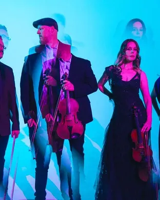 Vitamin String Quartet Great Barrington