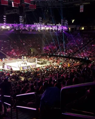 WWE: Smackdown